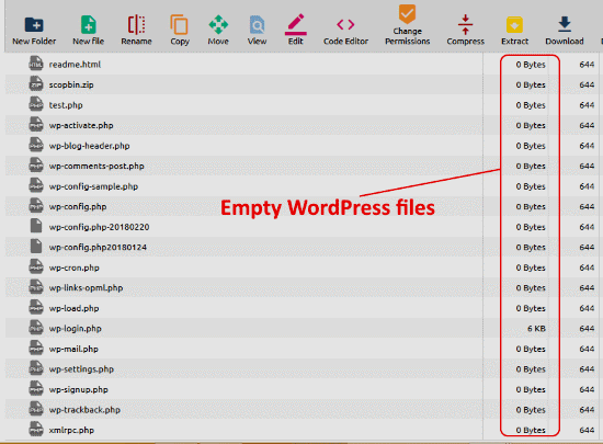 empty WordPress files