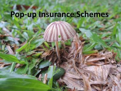 pop up insurance schemes